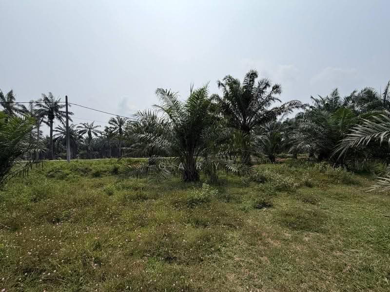 Agricultural Land for Sale in Sungai Siput (Perak) - Gary Tang - Exterior - PropertyGuru.com.my