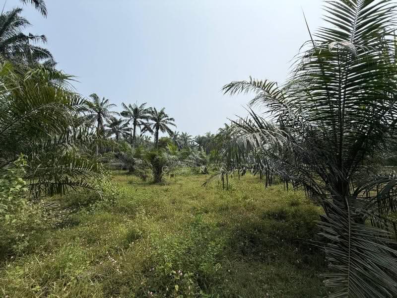 Agricultural Land for Sale in Sungai Siput (Perak) - Gary Tang - Exterior - PropertyGuru.com.my