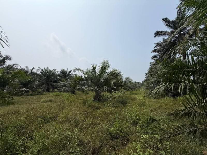 Agricultural Land for Sale in Sungai Siput (Perak) - Gary Tang - Exterior - PropertyGuru.com.my