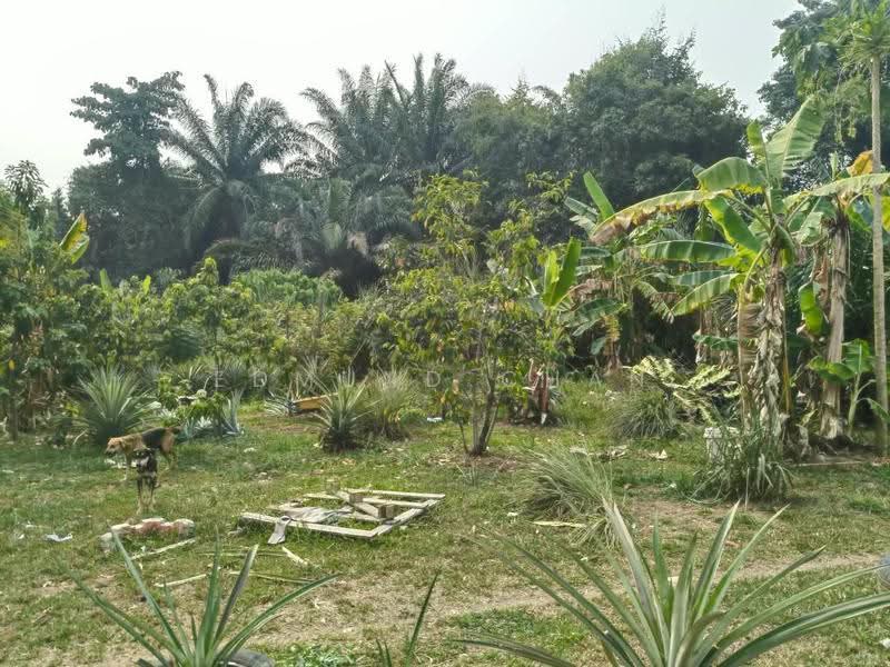 Residential Land for Sale in Dengkil (Selangor) - Edmund Chan - Garden - PropertyGuru.com.my