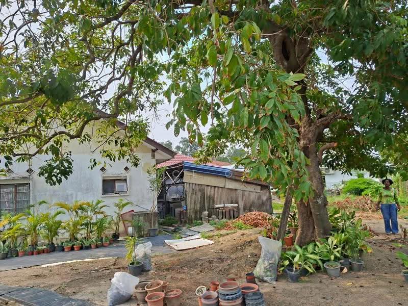 Bungalow House for Rent in Klang (Selangor) - Alice Goh - Exterior - PropertyGuru.com.my