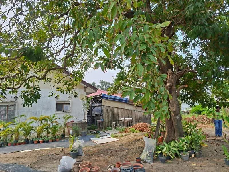 Bungalow House for Rent in Klang (Selangor) - Alice Goh - Exterior - PropertyGuru.com.my