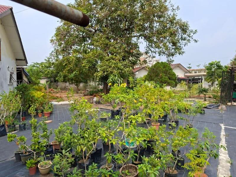 Bungalow House for Rent in Klang (Selangor) - Alice Goh - Garden - PropertyGuru.com.my