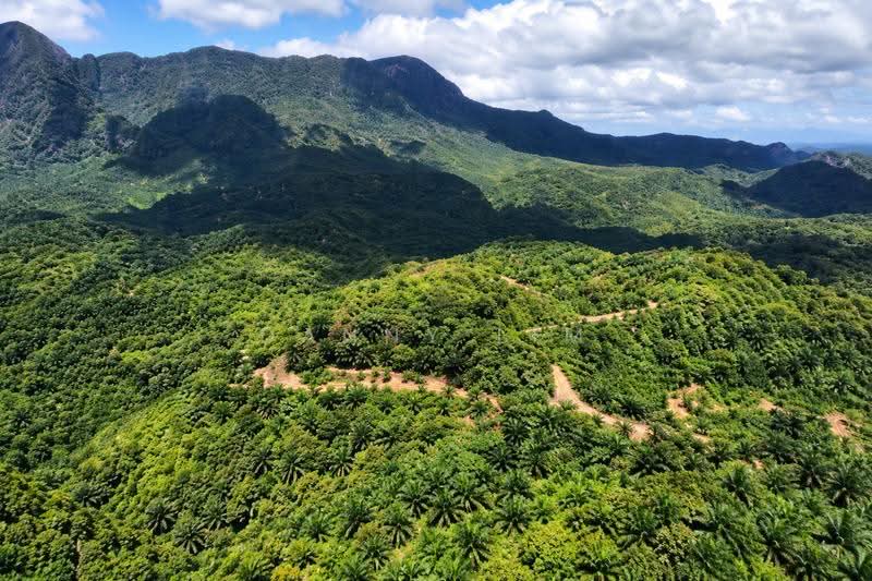 Agricultural Land for Sale in Gua Musang (Kelantan) - Danny Lim - Exterior - PropertyGuru.com.my