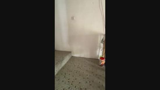 Semi-Detached House for Rent in Kim Teng Park (Johor Bahru) - Phang Elainne - PropertyGuru.com.my