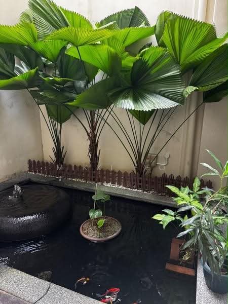 Rumah Kluster untuk Dijual di Taman Sutera Utama (Skudai) - Mikki Yeo - Garden - PropertyGuru.com.my