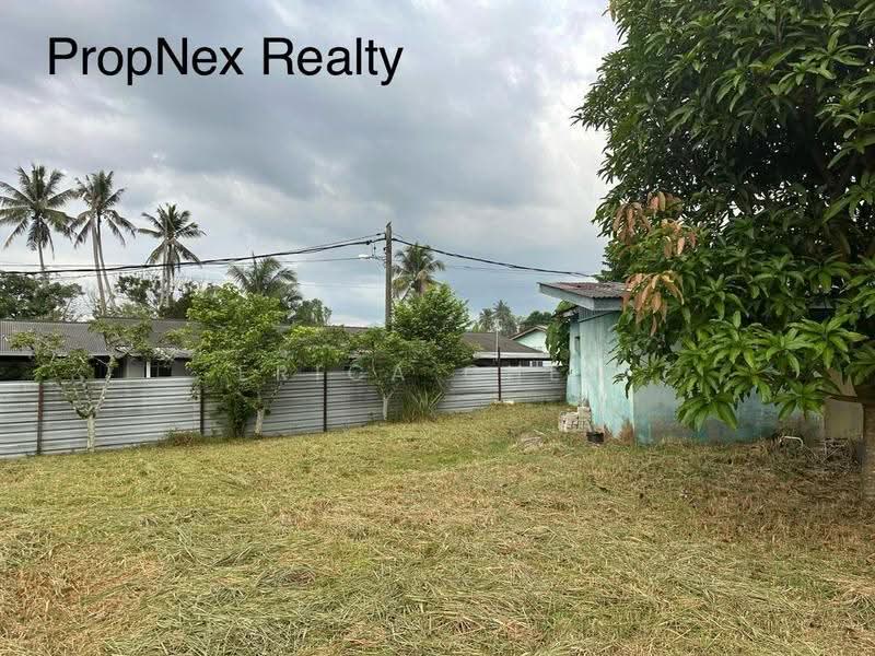 Agricultural Land for Sale in selangor (Beranang) - Erica Chew - Exterior - PropertyGuru.com.my