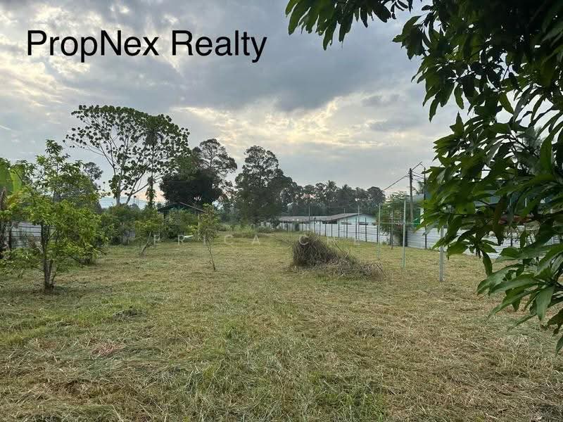 Agricultural Land for Sale in selangor (Beranang) - Erica Chew - Garden - PropertyGuru.com.my