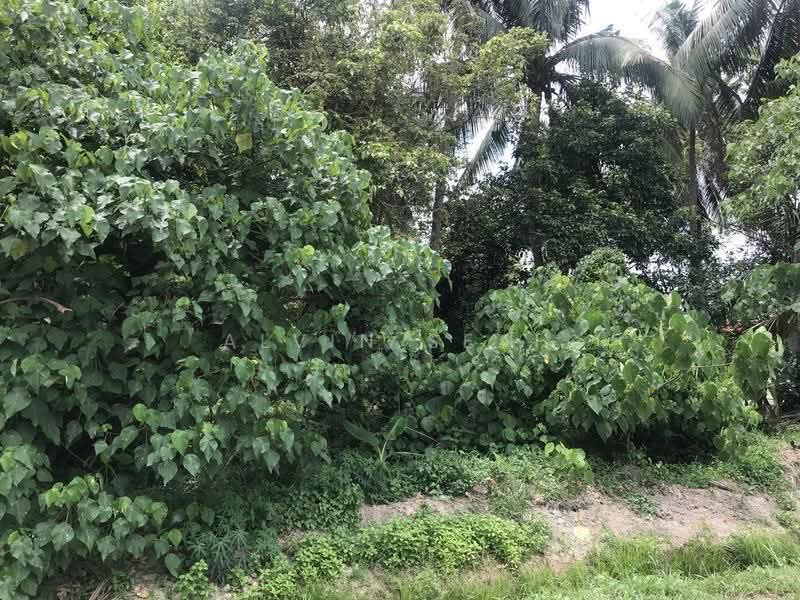 Industrial Land for Sale in Teluk Gong (Port Klang (Pelabuhan Klang)) - Alvin Seah - Garden - PropertyGuru.com.my