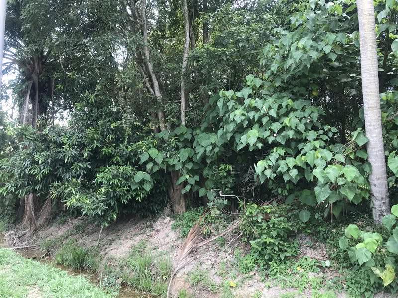 Industrial Land for Sale in Teluk Gong (Port Klang (Pelabuhan Klang)) - Alvin Seah - Exterior - PropertyGuru.com.my