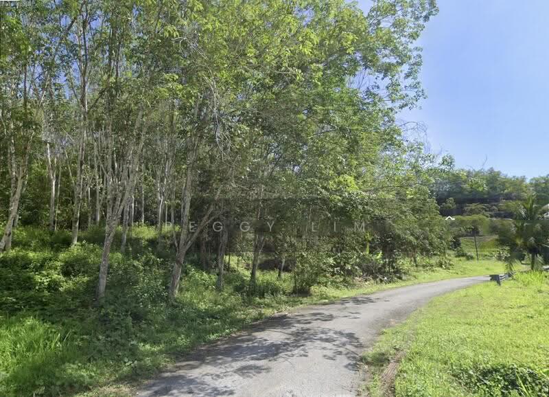 Agricultural Land for Sale in Gerik (Perak) - Peggy Lim - Exterior - PropertyGuru.com.my