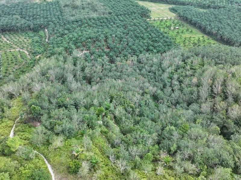 Agricultural Land for Sale in Gerik (Perak) - Peggy Lim - Exterior - PropertyGuru.com.my