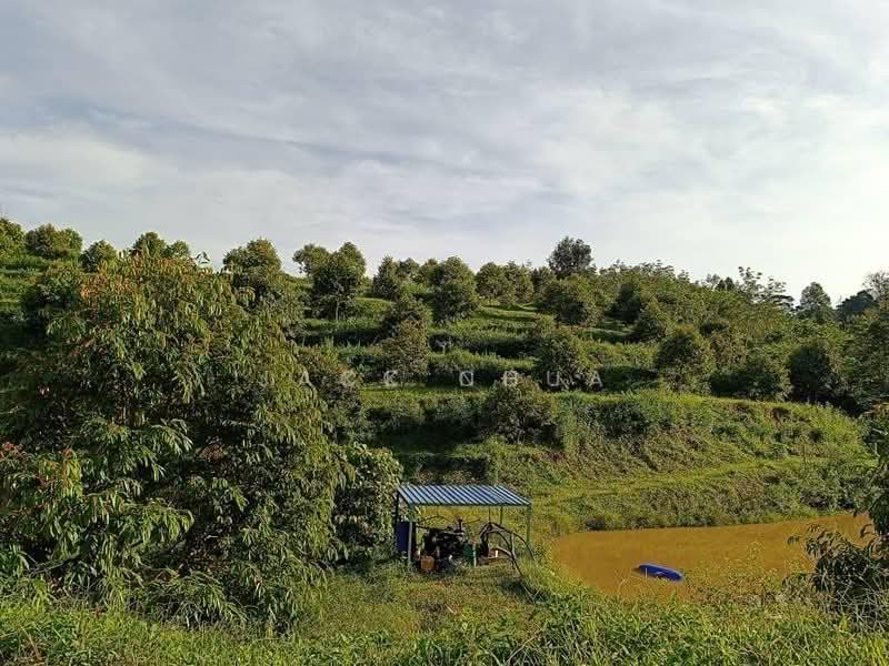 Agricultural Land for Sale in Gerik (Perak) - KC Ng - Exterior - PropertyGuru.com.my
