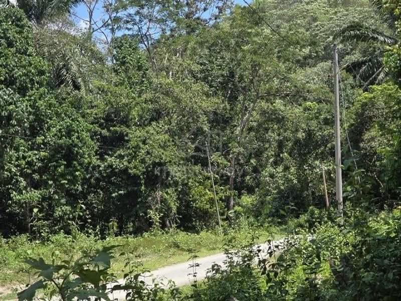 Agricultural Land for Sale in Gerik (Perak) - KC Ng - Exterior - PropertyGuru.com.my