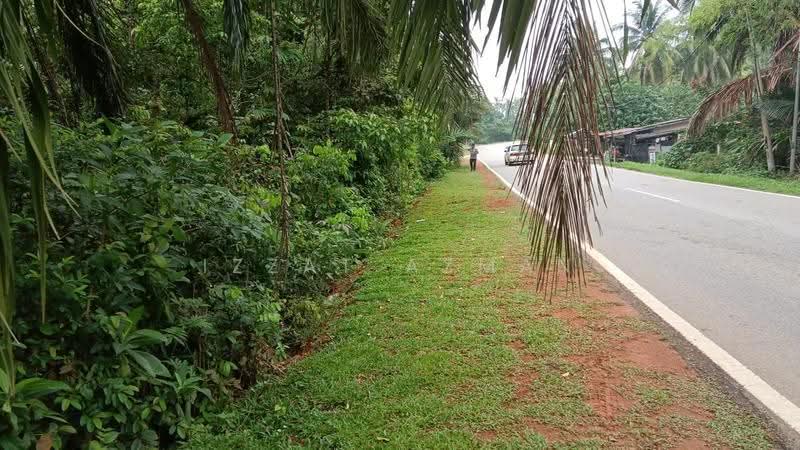 Commercial Land for Sale in Kampung Bukit Diman (Penghulu Diman) - Izzat Azman - Exterior - PropertyGuru.com.my