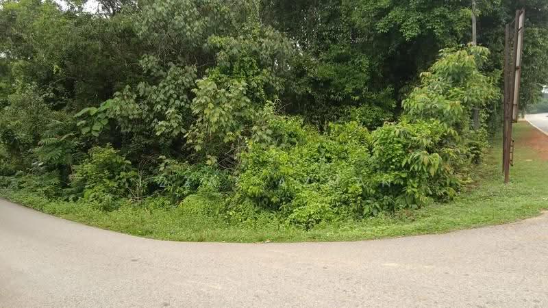 Commercial Land for Sale in Kampung Bukit Diman (Penghulu Diman) - Izzat Azman - Exterior - PropertyGuru.com.my