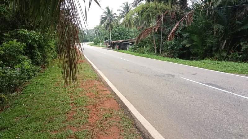 Commercial Land for Sale in Kampung Bukit Diman (Penghulu Diman) - Izzat Azman - Exterior - PropertyGuru.com.my
