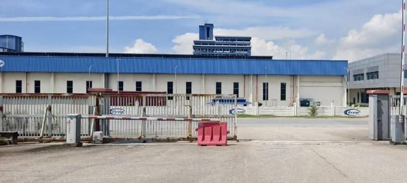 Kilang untuk Disewa di Kawasan Perindustrian Tanjung Langsat (Pasir Gudang) - Elaine Goh - PropertyGuru.com.my