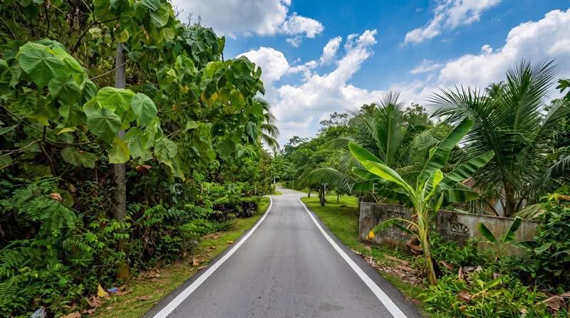 Agricultural Land for Sale in Serendah (Rawang) - Chris Tye - Exterior - PropertyGuru.com.my
