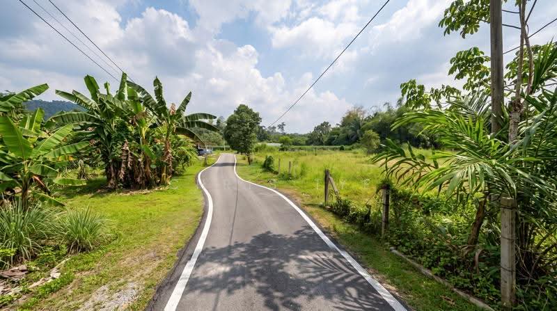 Agricultural Land for Sale in Serendah (Rawang) - Chris Tye - Exterior - PropertyGuru.com.my