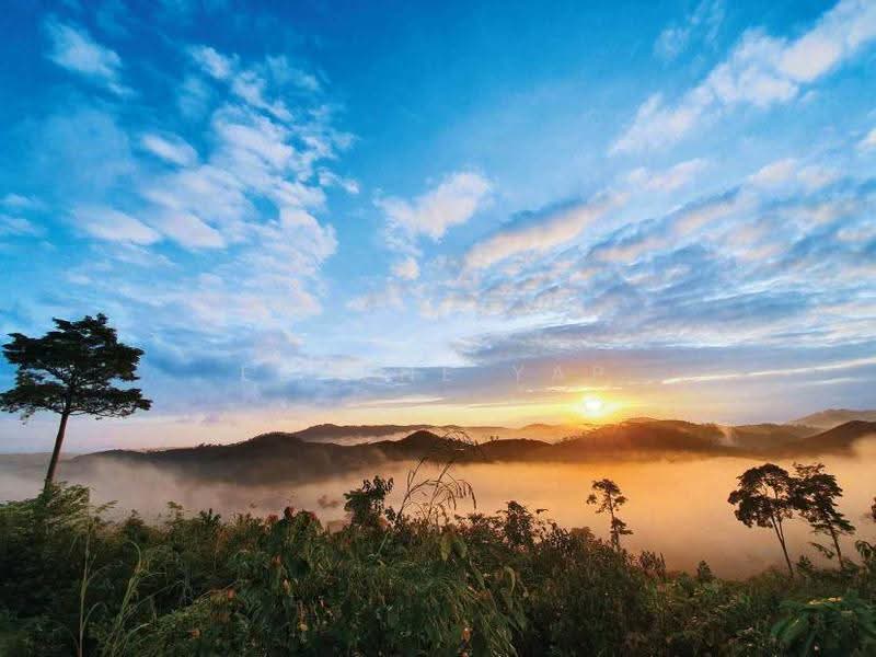 Tanah Pertanian untuk Dijual di Karak (Pahang) - Eugene Yap - PropertyGuru.com.my