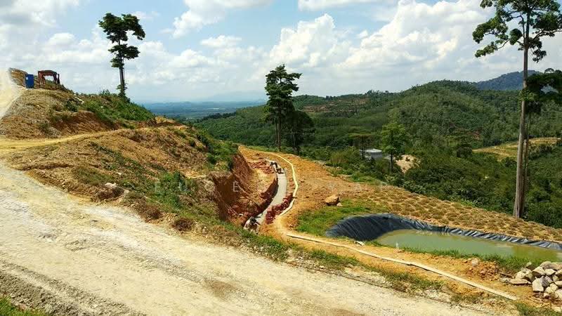 Tanah Pertanian untuk Dijual di Karak (Pahang) - Eugene Yap - PropertyGuru.com.my