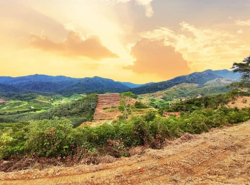 Tanah Pertanian untuk Dijual di Karak (Pahang) - Eugene Yap - Exterior - PropertyGuru.com.my