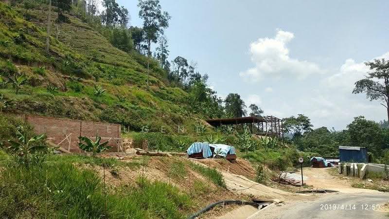 Tanah Pertanian untuk Dijual di Karak (Pahang) - Eugene Yap - Exterior - PropertyGuru.com.my