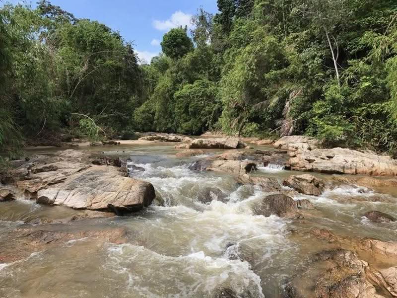 Tanah Pertanian untuk Dijual di Karak (Pahang) - Eugene Yap - Exterior - PropertyGuru.com.my