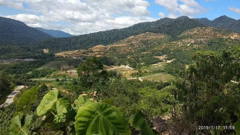 Tanah Pertanian untuk Dijual di Karak (Pahang) - Eugene Yap - Exterior - PropertyGuru.com.my
