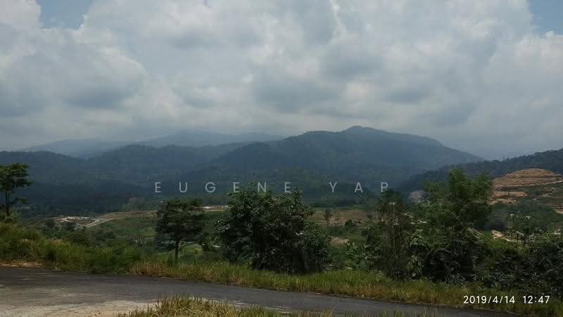 Tanah Pertanian untuk Dijual di Karak (Pahang) - Eugene Yap - View - PropertyGuru.com.my