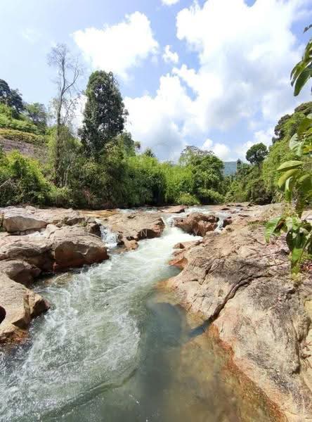 Tanah Pertanian untuk Dijual di Karak (Pahang) - Eugene Yap - Exterior - PropertyGuru.com.my