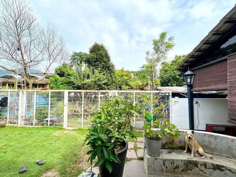 Rumah Berkembar untuk Dijual di Taman Green Lane (Jelutong) - Jin Chuah - Garden - PropertyGuru.com.my