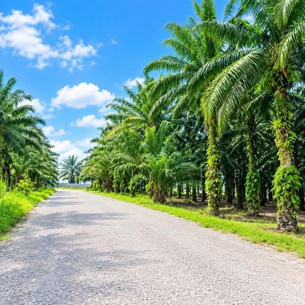 Agricultural Land for Sale in Jeram Batu (Pontian) - Jocelyn Lee - Exterior - PropertyGuru.com.my