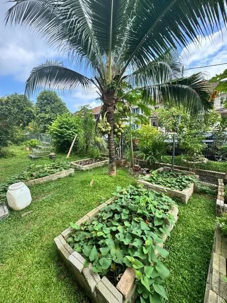 Rumah Teres 2-Tingkat untuk Disewa di Bandar Kinrara (Selangor) - Vincent Chin - Garden - PropertyGuru.com.my