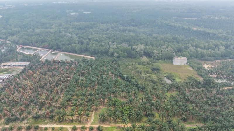 Agricultural Land for Sale in Port Dickson (Negeri Sembilan) - Vincent Tee - Exterior - PropertyGuru.com.my