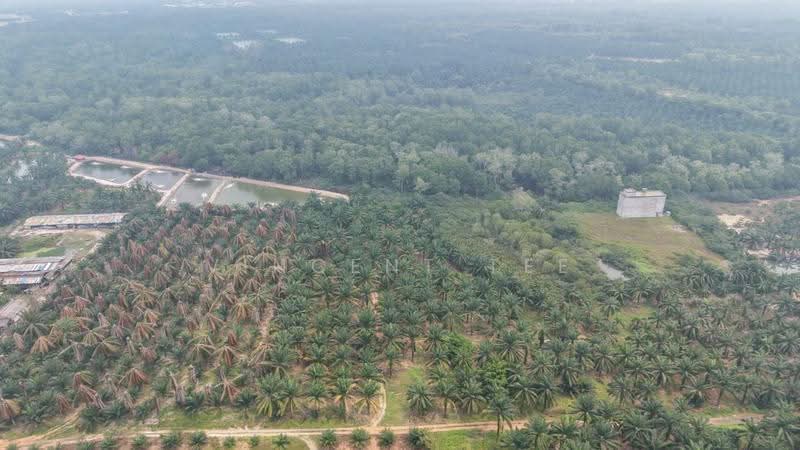 Agricultural Land for Sale in Port Dickson (Negeri Sembilan) - Vincent Tee - Exterior - PropertyGuru.com.my