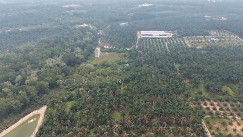 Agricultural Land for Sale in Port Dickson (Negeri Sembilan) - Vincent Tee - Exterior - PropertyGuru.com.my