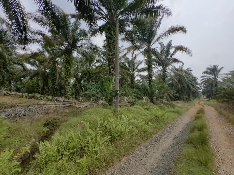 Agricultural Land for Sale in Port Dickson (Negeri Sembilan) - Vincent Tee - Exterior - PropertyGuru.com.my