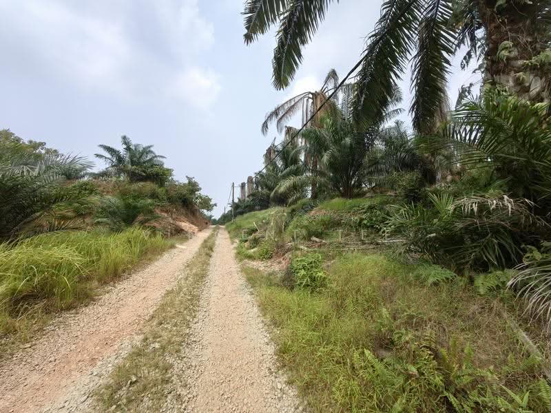 Agricultural Land for Sale in Port Dickson (Negeri Sembilan) - Vincent Tee - Exterior - PropertyGuru.com.my