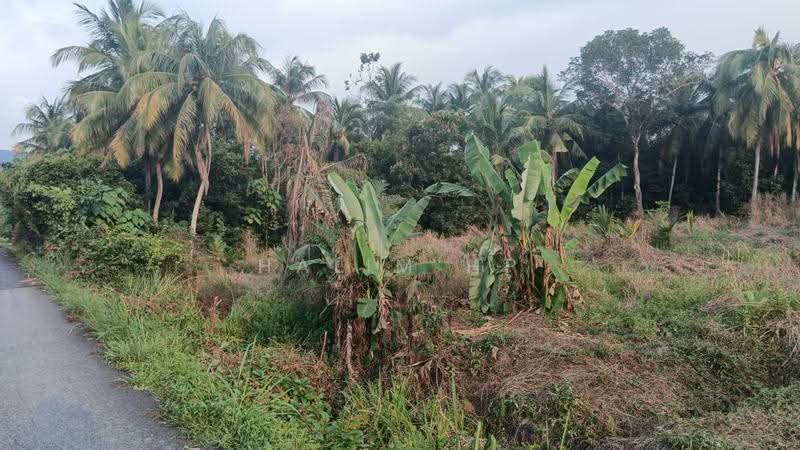 Agricultural Land for Sale in Seremban (Negeri Sembilan) - Halim HP - Exterior - PropertyGuru.com.my