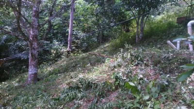 Tanah Pertanian untuk Dijual di Lenggeng (Negeri Sembilan) - Halim HP - Exterior - PropertyGuru.com.my