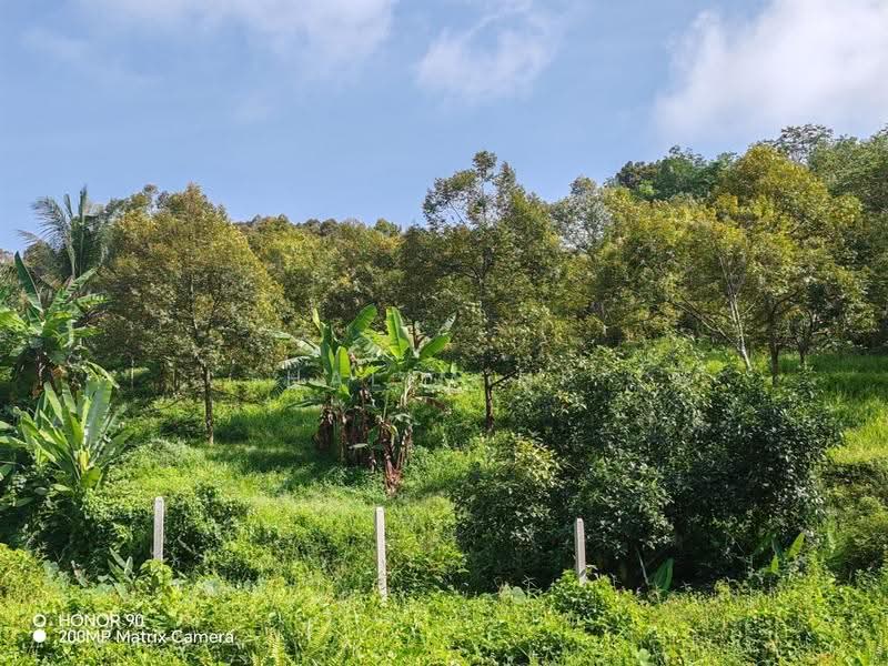 Tanah Pertanian untuk Dijual di Lenggeng (Negeri Sembilan) - Halim HP - Exterior - PropertyGuru.com.my