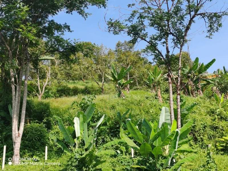 Tanah Pertanian untuk Dijual di Lenggeng (Negeri Sembilan) - Halim HP - Garden - PropertyGuru.com.my