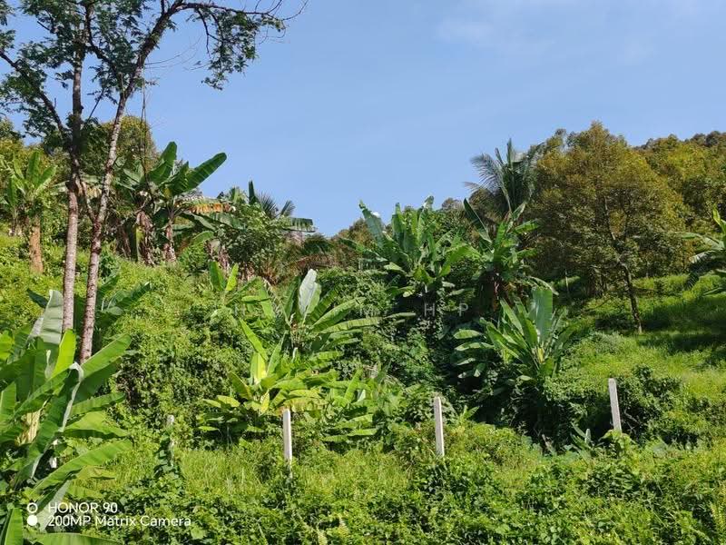 Tanah Pertanian untuk Dijual di Lenggeng (Negeri Sembilan) - Halim HP - Exterior - PropertyGuru.com.my