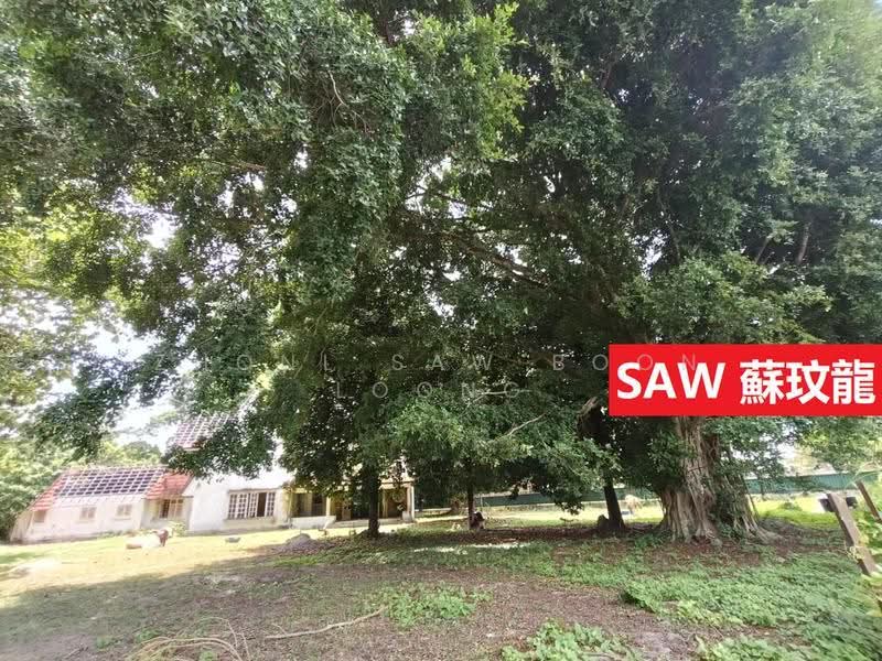 Tanah Kediaman untuk Dijual di Pulau Tikus (George Town) - Zhonl Saw Boon Loong - Exterior - PropertyGuru.com.my