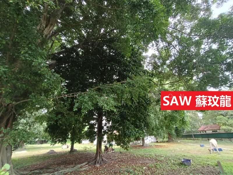 Tanah Kediaman untuk Dijual di Pulau Tikus (George Town) - Zhonl Saw Boon Loong - Exterior - PropertyGuru.com.my