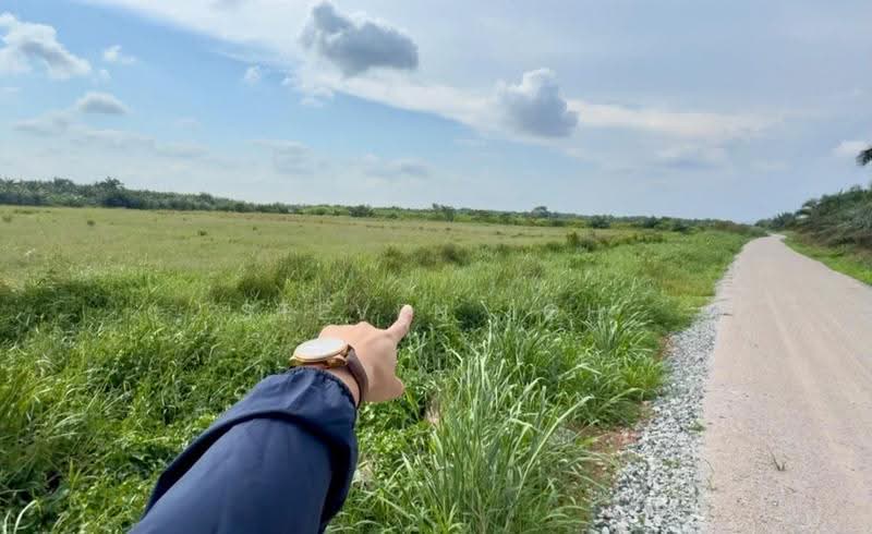 Agricultural Land for Sale in Parit Sikom (Pontian) - Steven Loh - Exterior - PropertyGuru.com.my