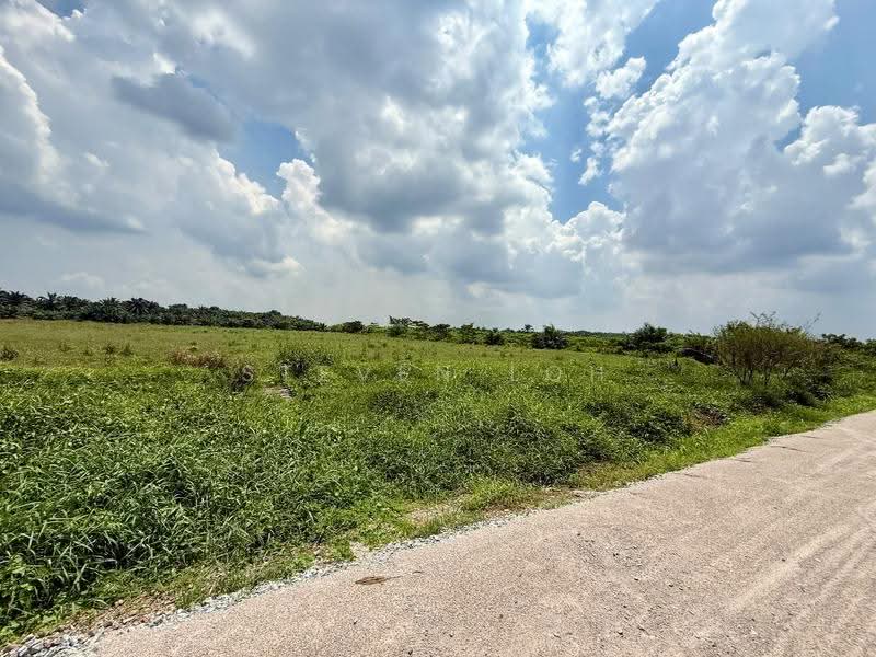 Agricultural Land for Sale in Parit Sikom (Pontian) - Steven Loh - Exterior - PropertyGuru.com.my