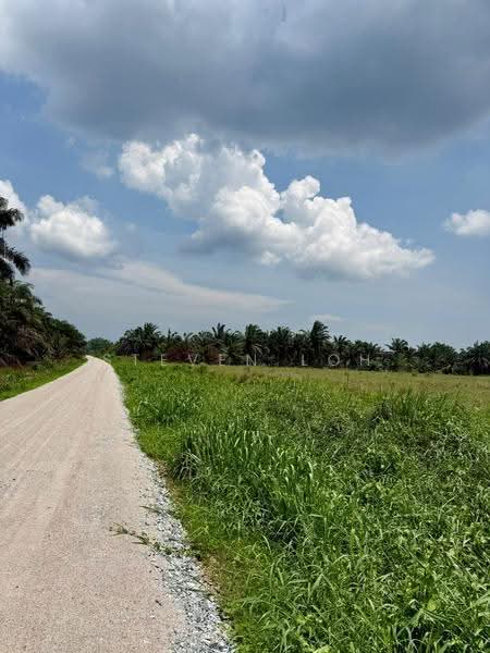 Agricultural Land for Sale in Parit Sikom (Pontian) - Steven Loh - PropertyGuru.com.my